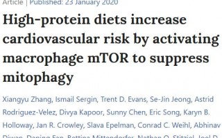 《自然》子刊：高蛋白饮食或损伤心脏！