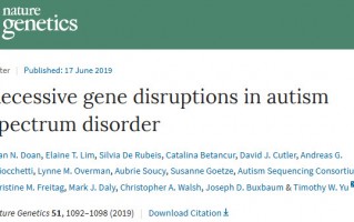 自闭症病例可能有5%源自基因隐性突变