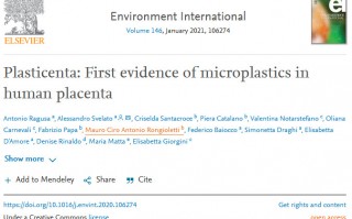 人类胎盘中首次发现微塑料污染