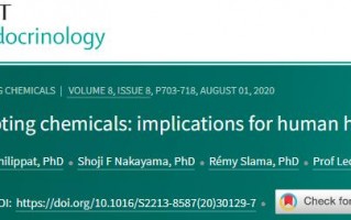 《柳叶刀》子刊：日用品中的这些物质，可能悄然改变你的内分泌，影响你的健康