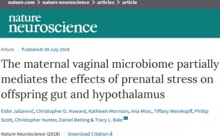 《自然》子刊：研究发现孕期压力会影响孕妈阴道微生物组成，影响后代生长发育
