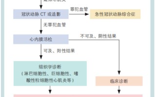 中国成人心肌炎诊治指南