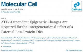 Mol Cell：父亲的饮食会影响后代机体健康