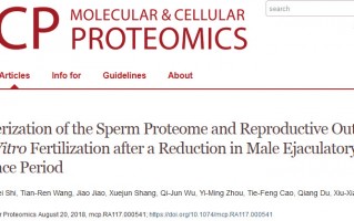 蛋白质组学分析，长期禁欲降低精子质量