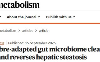 即使糖吃多了，补充“菊粉”也能护肝