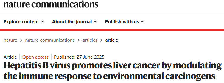 乙肝病毒自身或不致肝癌,但会增强致癌物的作用.jpg 乙肝病毒自身或不致肝癌,但会增强致癌物的作用.jpg