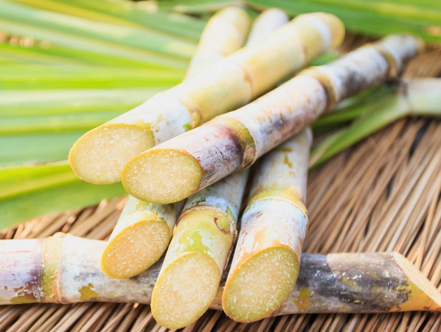 甘蔗.jpg 甘蔗.jpg