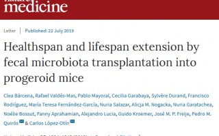 《自然》：肠道微生物与衰老和「渐冻人」症有关，补充AKK菌或可延缓衰老，抑制疾病进展 