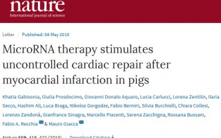 《自然》：科学家首次在大型哺乳动物中实现心肌再生，但却引起了致命的心律失常