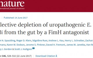 《自然》：利用甘露糖苷选择性地清除肠道中的致病性大肠杆菌，有望治疗复发性尿路感染