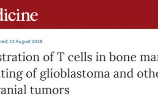 《自然》子刊：癌细胞竟能将T细胞“囚禁”在骨髓，难怪癌症患者的T细胞那么少？