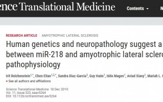 两项研究揭示“渐冻症”的发病机制和新疗法