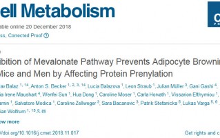 《细胞》子刊：科学家证实他汀会抑制人体棕色脂肪的生成和激活，难怪他汀会增加糖尿病风险