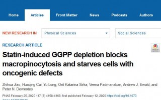 NAS：他汀类药物使癌细胞无法吸收蛋白而“饿死”