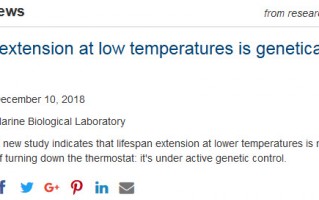 低温，对寿命有多大影响？