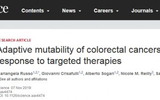《科学》：癌细胞会通过多种手段加速DNA突变频率，逃避靶向治疗的打击
