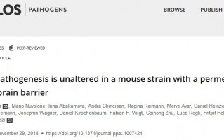 PLoS Pathog：朊病毒或会通过神经入侵的方式扩散到大脑中