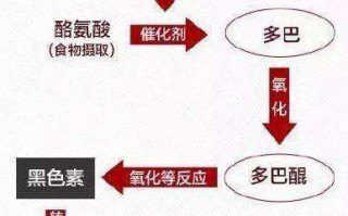 维C+L-半胱氨酸+氨甲环酸，日本“美白丸”成份大起底