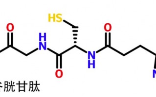 谷胱甘肽：美白效果一般