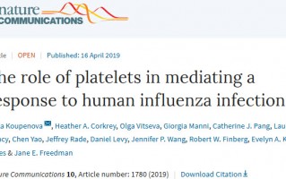 《自然》子刊：“吃货”血小板！科学家发现血小板能吞噬血液中的流感病毒，促进NET释放，或为流感增加心梗风险原因