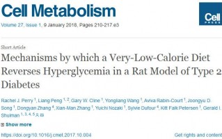 科学家发现热量限制饮食可以从多方面逆转2型糖尿病
