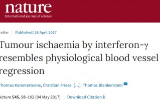 《自然》：科学家首次证明γ干扰素可以促进肿瘤血管衰退，让实体瘤缩小！
