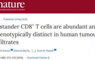 《自然》：肿瘤中存在大量与癌症不相关的“吃瓜”杀伤性T细胞