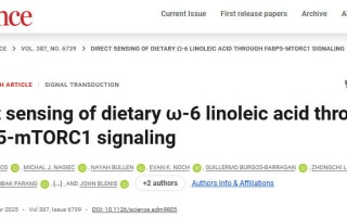 食用油中的亚油酸竟成“癌细胞的加油站”？
