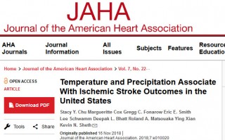 JAHA：温暖湿润的天气与中风幸存者的更好结果有关