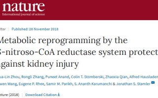 《自然》：科学家发现人体糖代谢重编程机制，或可调控肾、心脏或大脑的修复和再生过程