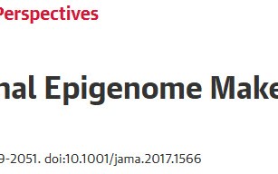 JAMA：你抽的烟、喝的酒、吃的炸鸡、熬的大夜，都会刻在你的精子里，影响你的后代