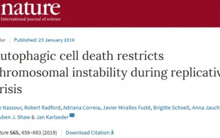 《自然》：科学家发现癌细胞跨越细胞衰老死亡的机制，关键竟然还是肿瘤依赖的自噬 