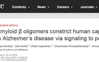 《科学》：AD为何脑血流量减少？研究发现Aβ可诱导内皮素的释放，收缩毛细血管