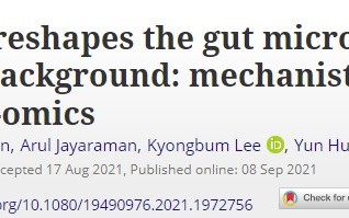 Gut Microbes：吃菠菜可以预防结肠癌