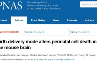  顺产vs剖腹产？PNAS：出生模式影响脑发育和行为