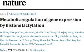 《自然》：肿瘤产生的乳酸或能表观修饰巨噬细胞组蛋白，导致巨噬细胞黑化促癌