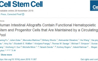 Cell Stem Cell：震惊！高达10%的人体血细胞来自肠道中的造血干细胞库