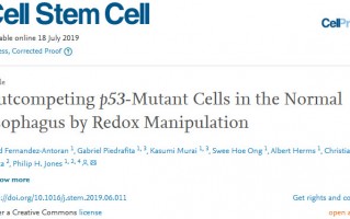 《细胞》子刊：约3次CT剂量的辐射，可以增强p53突变癌前细胞的增殖能力