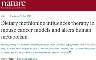 《自然》：低蛋氨酸饮食可抑制小鼠肿瘤，增强放化疗效果，在人体内也有相似的代谢影响
