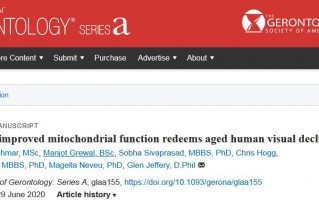 Gerontology：视网膜“充电”3分钟，挽救40岁以上视力衰退
