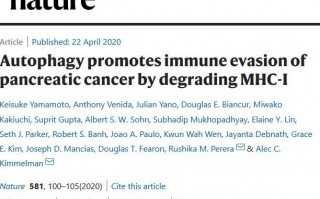 Nature：胰腺癌通过自噬降解MHC-I促进免疫逃避！