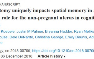 子宫不止是生殖器官！科学家首次发现子宫或与记忆有关