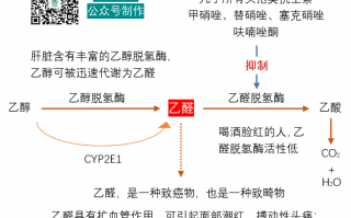 使用头孢后，多长时间不能饮酒？