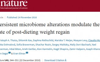 《自然》：节食减肥易反弹原来是肠道微生物捣的鬼！