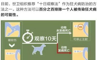 狂犬病的“十日观察法”