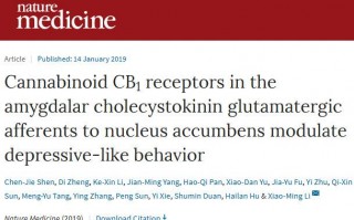 Nature子刊：医用大麻，抗抑郁治疗的新曙光