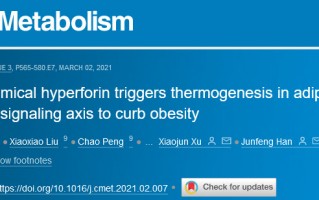 Cell子刊：贯叶连翘中药成分可促进脂肪产热，或可用于治疗肥胖