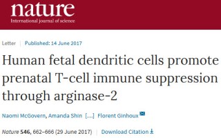《自然》：科学家发现胎儿有个特殊的免疫系统，将对流产、早产治疗和器官移植带来重大影响