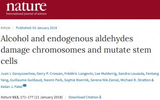 科学家证实酒精会给干细胞DNA造成永久性伤害，提高多种癌症风险