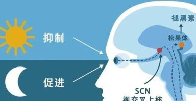 吃褪黑素补剂有副作用吗？